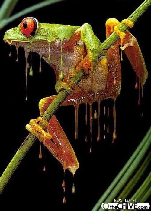 Robert Brown's album, Timeline Photos