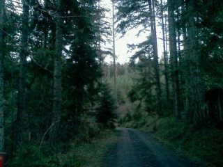 arden post's album, LG Phone Photos