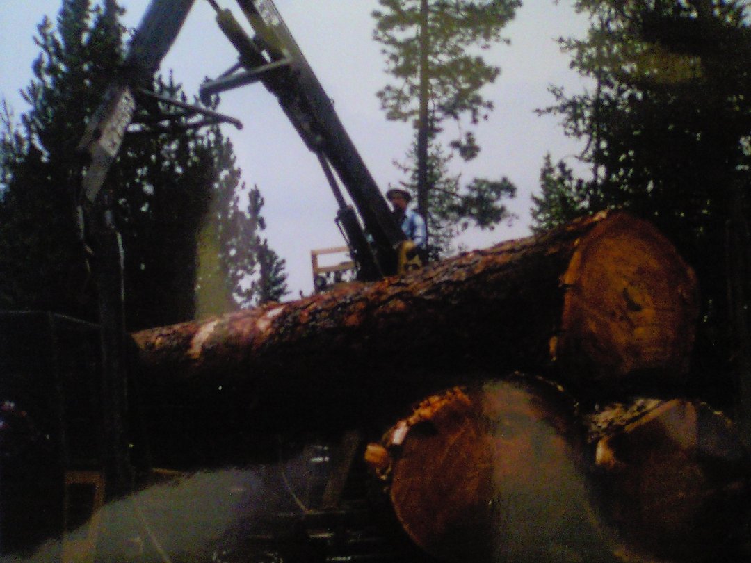 David Reed's album, truck pictures