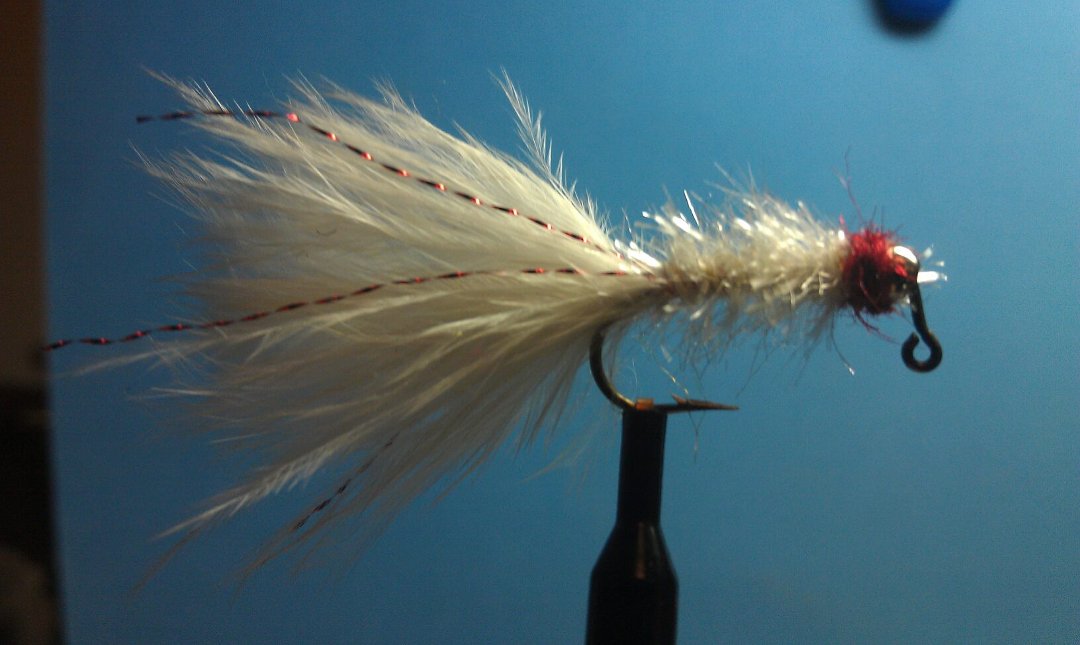 Doug Martin's album, Mobile Uploads