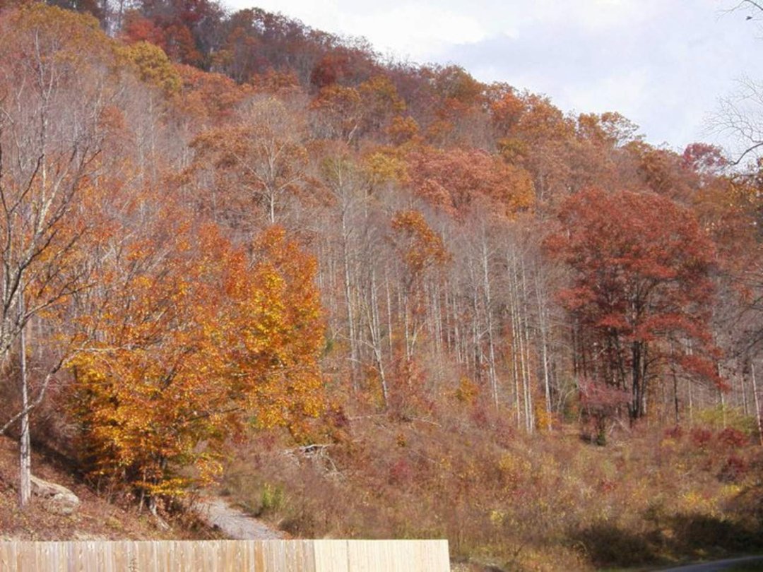 dennis boyd's album, my country, my hills, and my roots