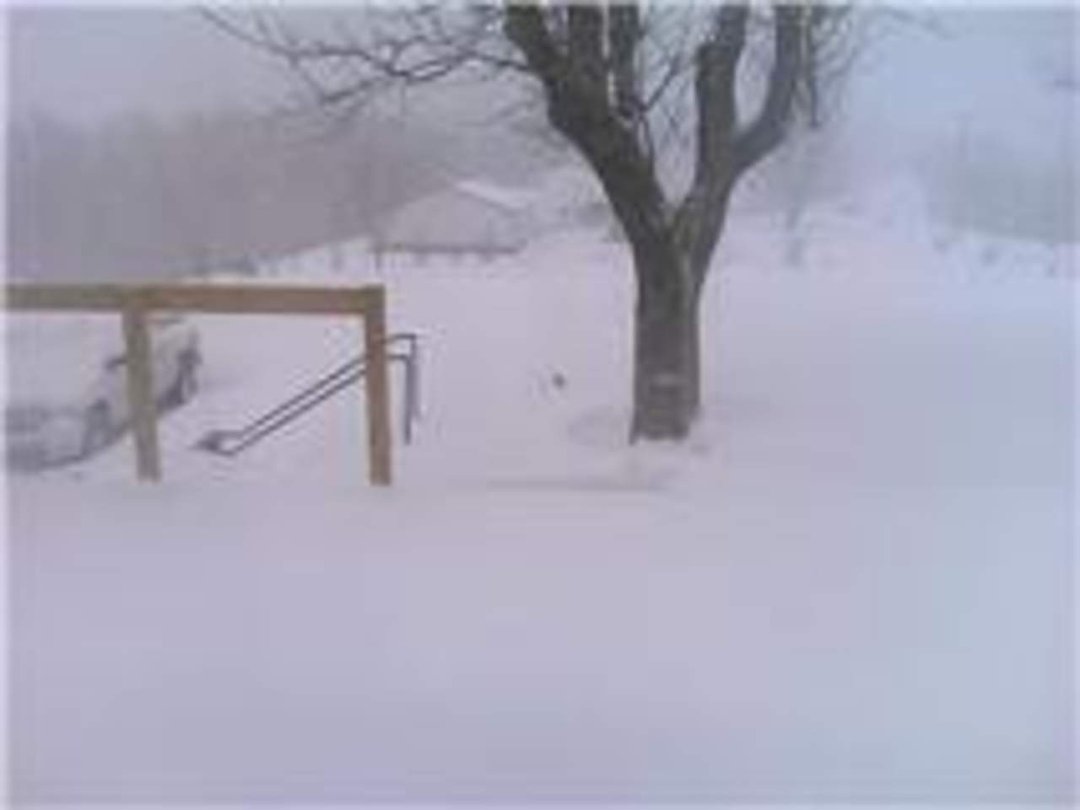 William Conner's album, February 1, 2011