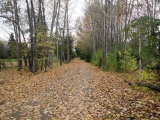 Gail Park's album, Coastal Trail, Anchorage AK