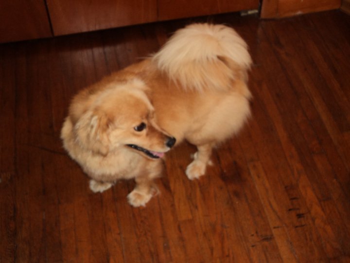Kathy Houck's album, My Pictures