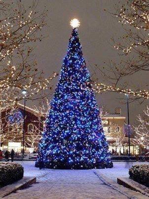 John Taylor's album, Timeline Photos