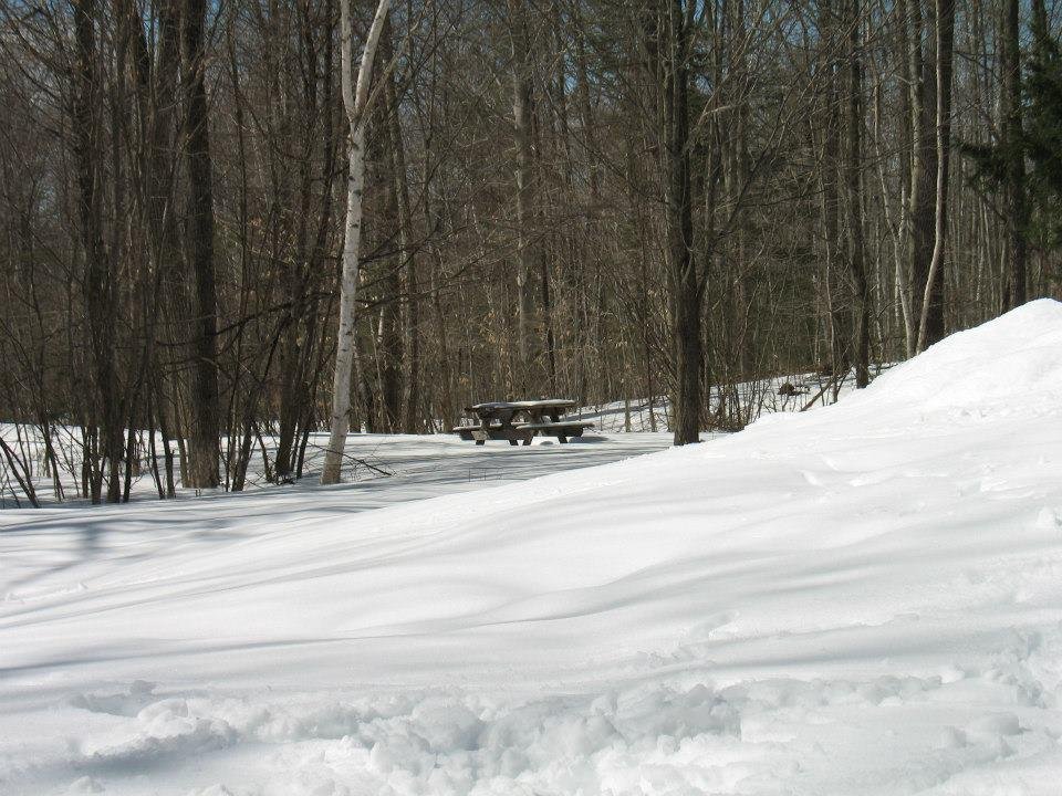 Mike Smith's album, Spring Day in the Woods, 03.13