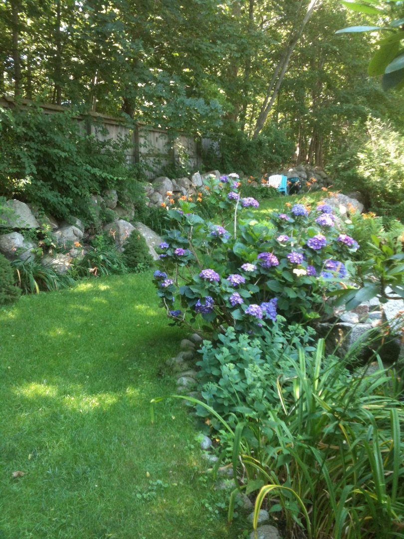 Susan Lovasco's album, Cover Photos