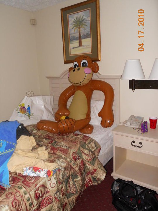 Tom Anglin's album, Profile Pictures
