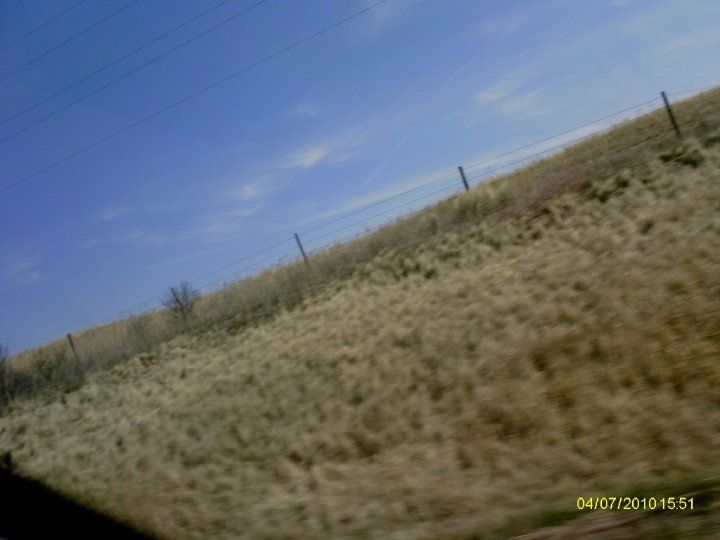 Douglas Heller's album, SpringBreak 2010 - Day 3