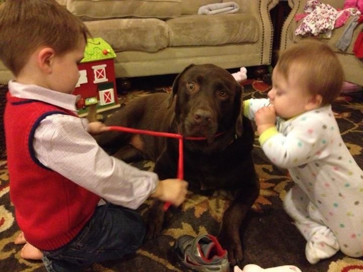 Rick Lawrence's album, My grand kids