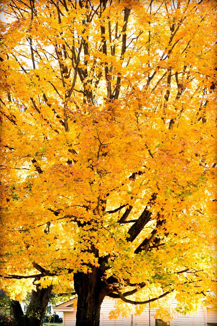Dave Abner's album, Untitled Album