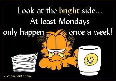 Peter Cook's album, Timeline Photos
