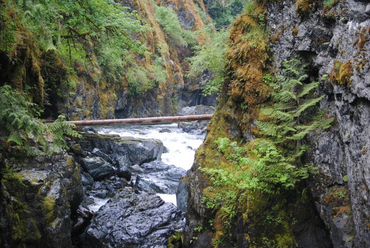 Rick Rozon's album, Parksville 2011