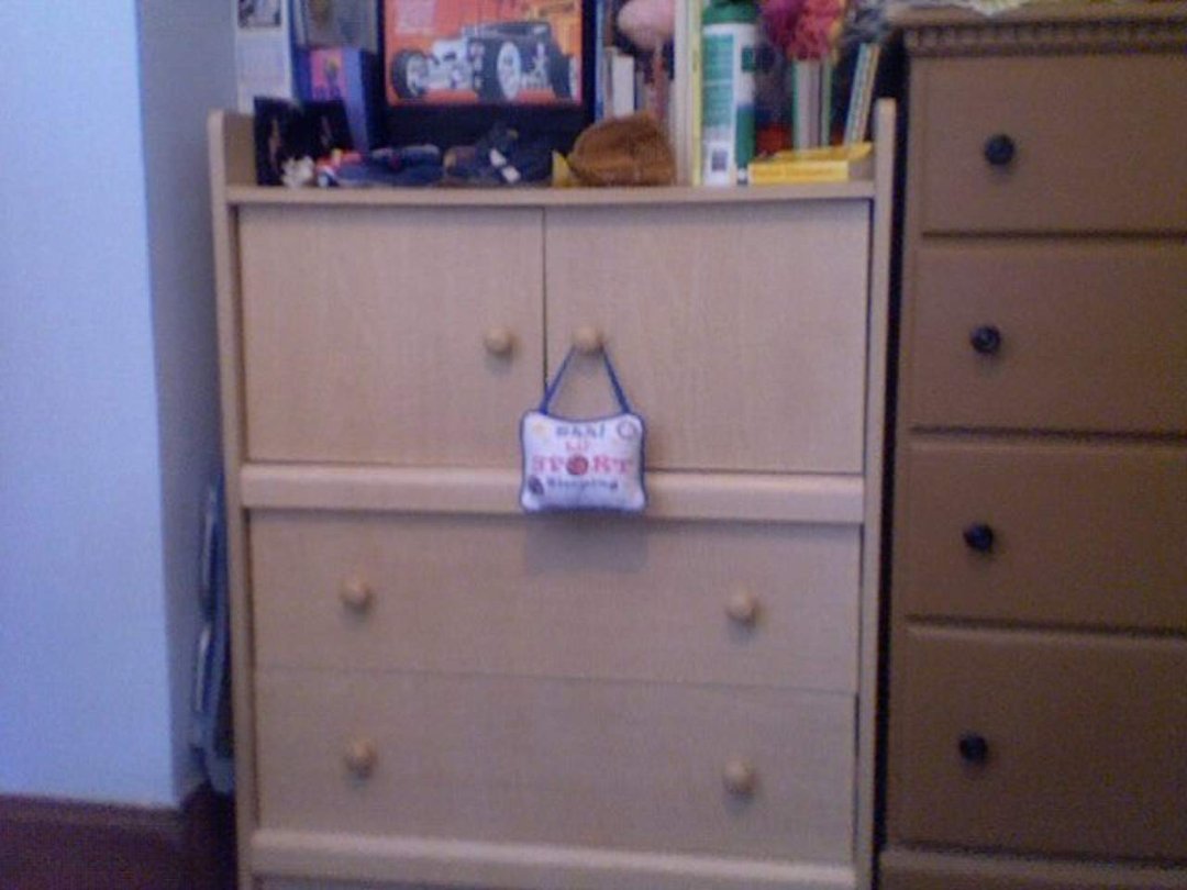 Lisette Vasquez's album, Moving Sale