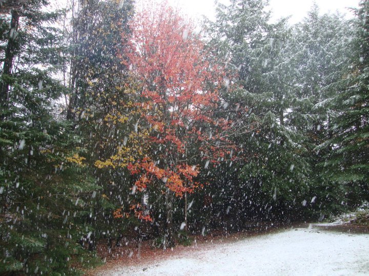 John Ager's album, October 15, 2010