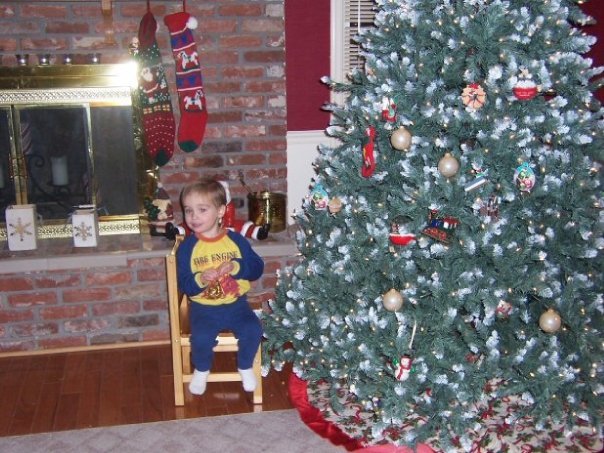 Amy Lewark's album, Christmas 2008