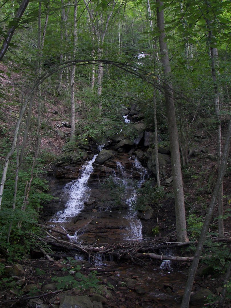 Carl Michael Moss' album, Douglas Falls/Blackwater Falls