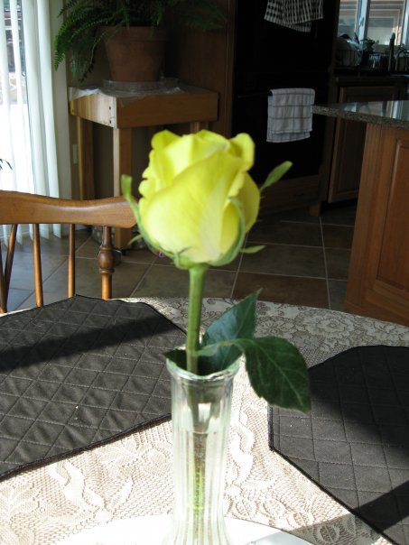 Susan Miller's album, My Pix