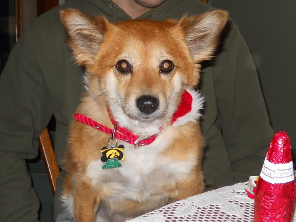 Dixie Dereus' album, Christmas 2009