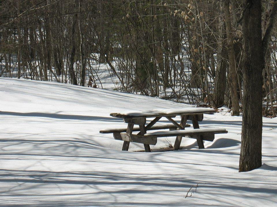 Mike Smith's album, Spring Day in the Woods, 03.13
