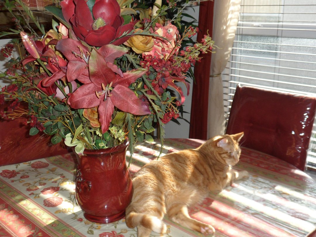 barbara buckner's album, Timeline Photos