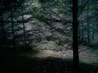 arden post's album, LG Phone Photos