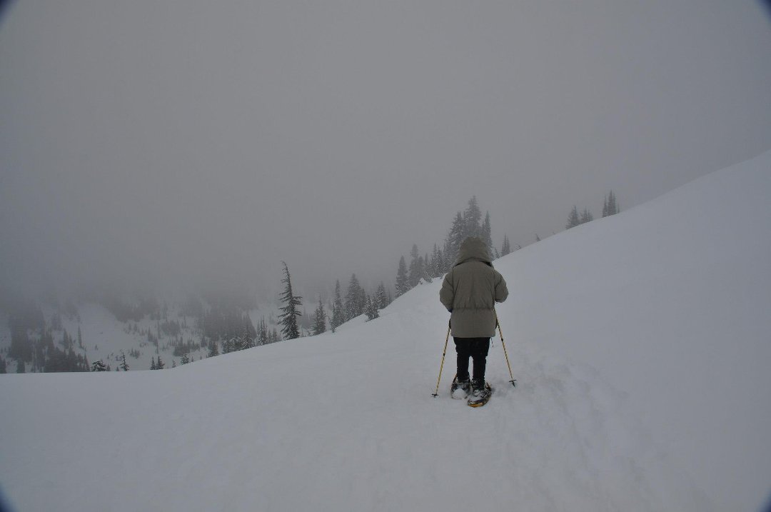 Paul Winters' album, Snowshoeing