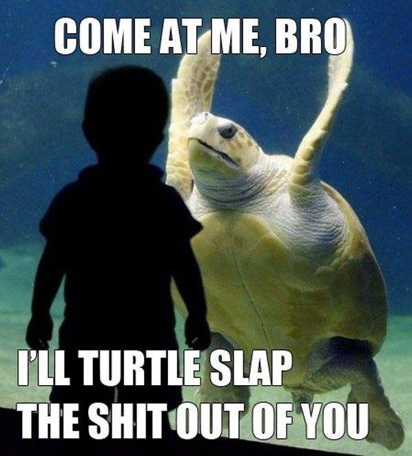 Tim Thomas' album, Timeline Photos