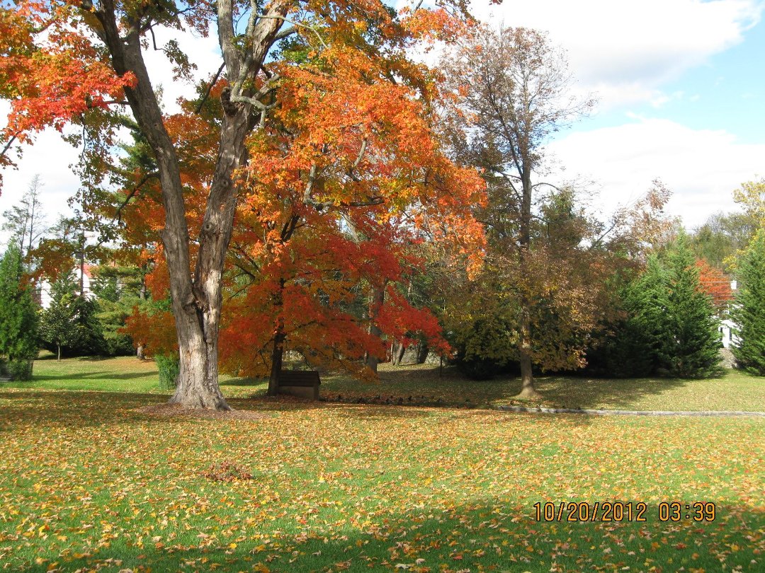 Jane Bourdow's album, Cover Photos