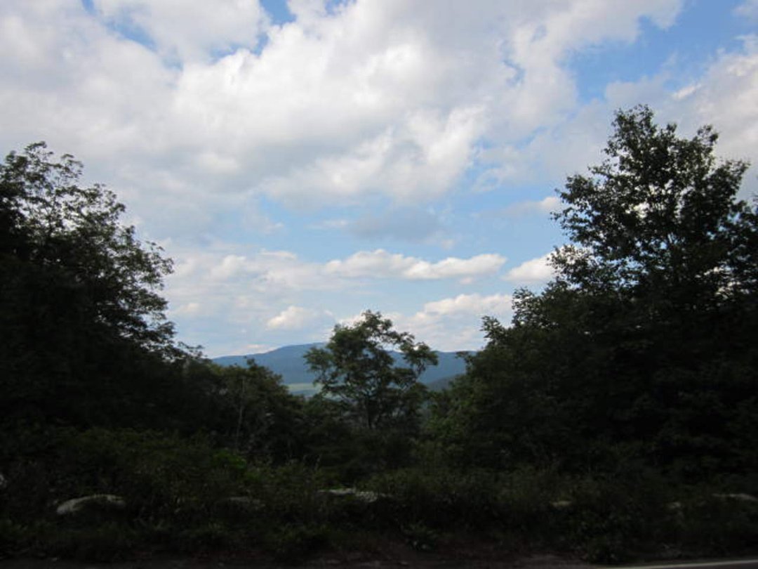 Anne Gorres' album, Cover Photos