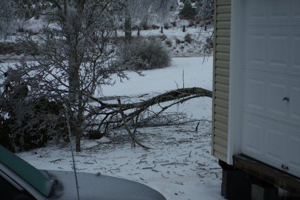 James Wicker's album, Christmas Ice Storm 2009