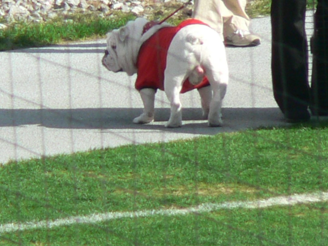 Skip Fudge's album, Profile Pictures