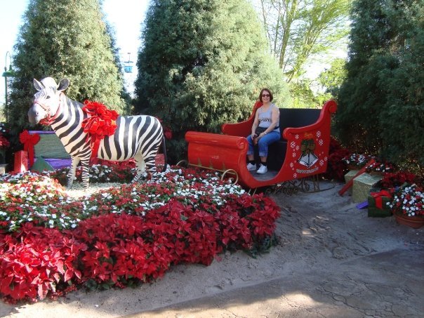 Phyllis Hill's album, Cover Photos