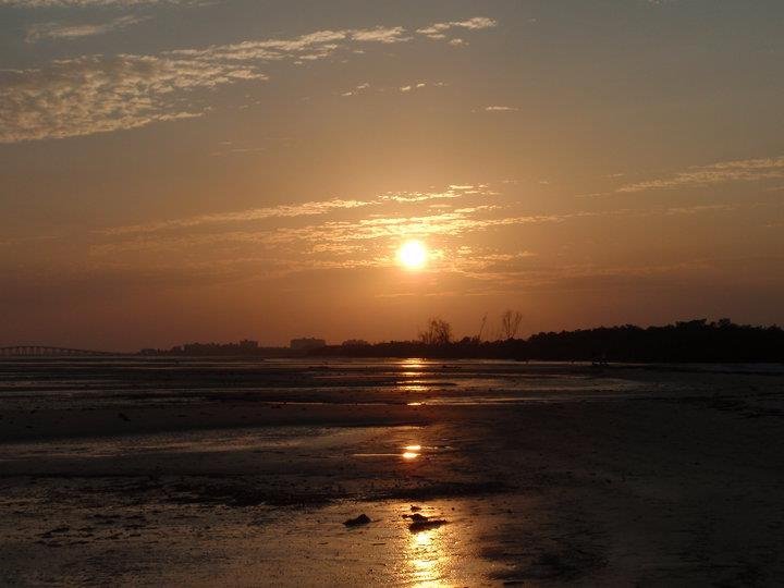 Charles McDermott's album, Florida's Beauty