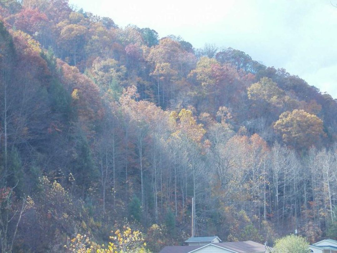 dennis boyd's album, my country, my hills, and my roots