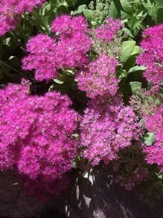 Frank Cunningham's album, Timeline Photos