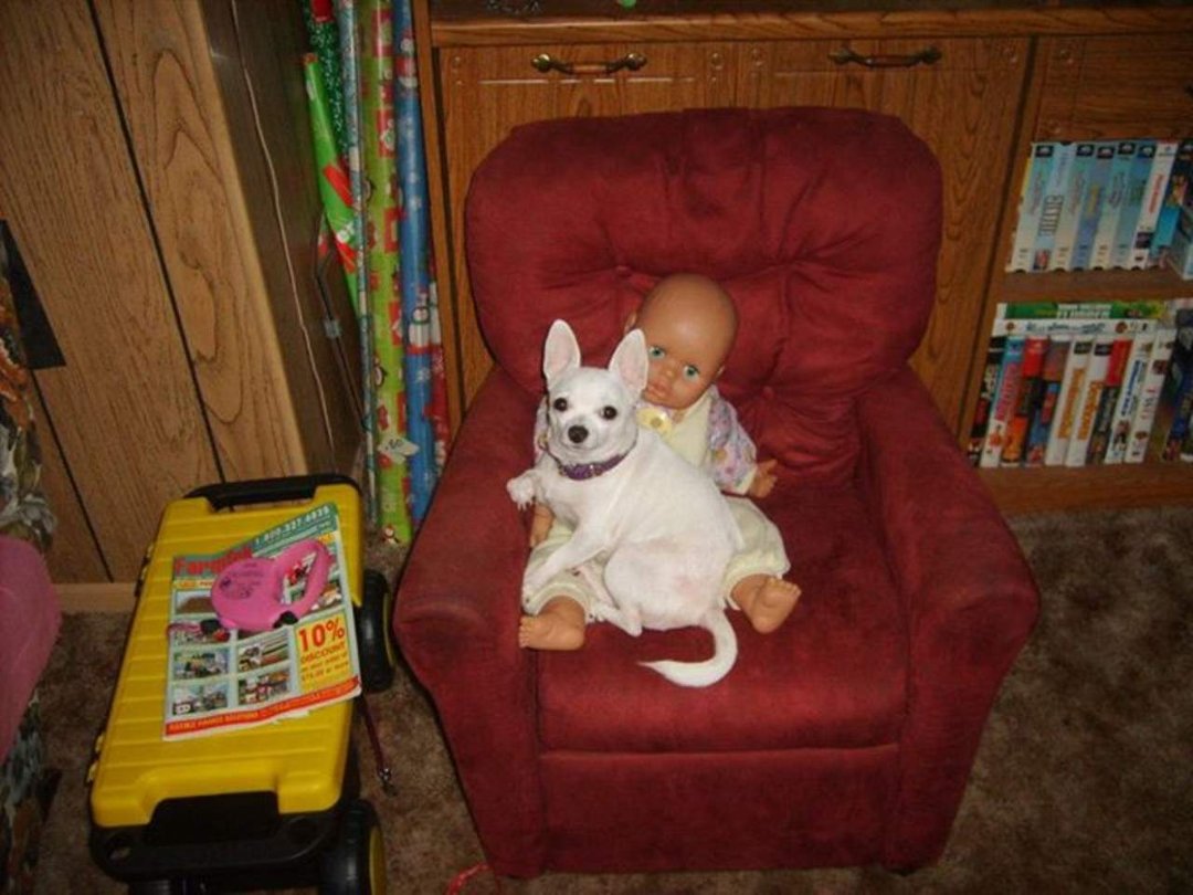 Ruby Pickens' album, jayla & ledeana & my dogs
