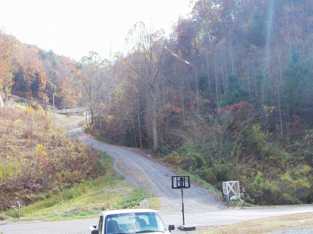 dennis boyd's album, my country, my hills, and my roots