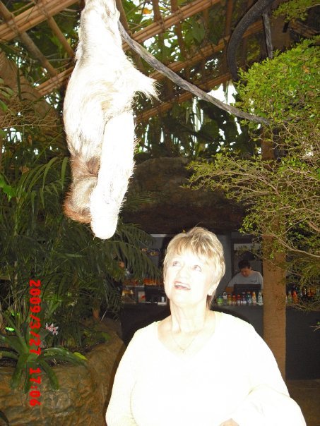 Terry Waters' album, Dallas World Aquarium
