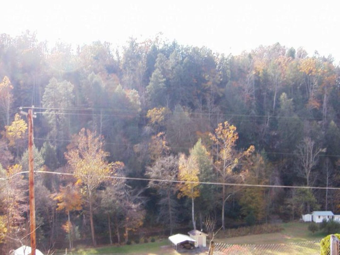 dennis boyd's album, my country, my hills, and my roots