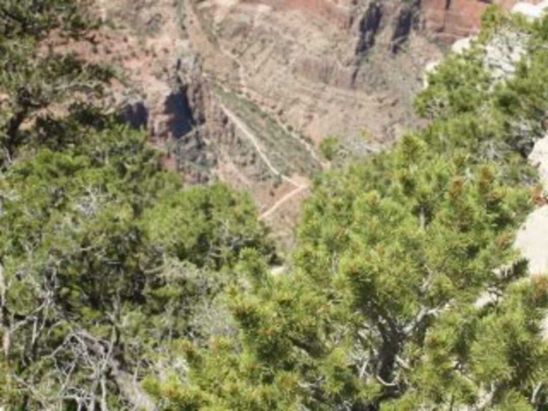 Tim Thompson's album, Sedona, grand canyon, zion canyon