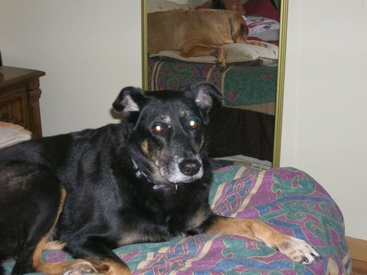 Fank Digilio's album, August 23, 2011