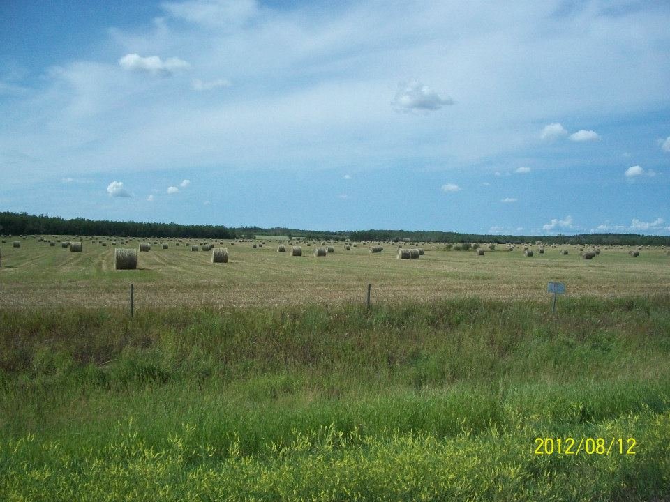 Karen Epp's album, Summer, 2012