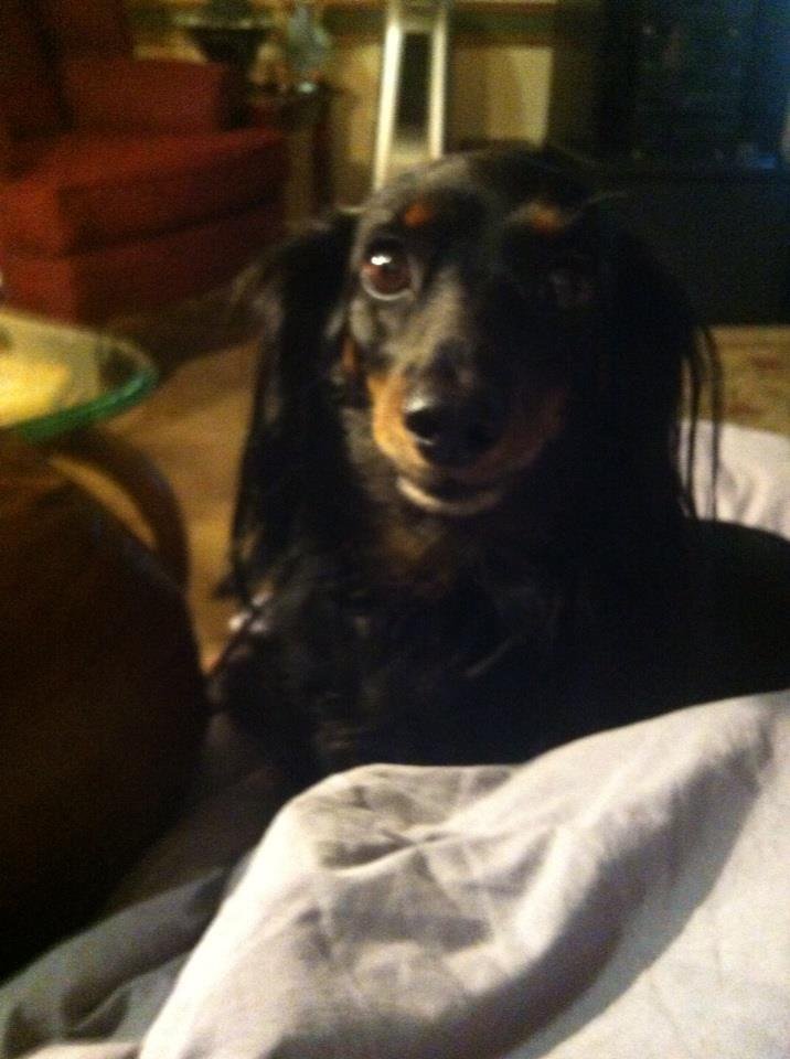 Kathy Brian's album, iOS Photos