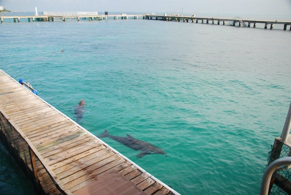 Doug Ward's album, Cancun 2012