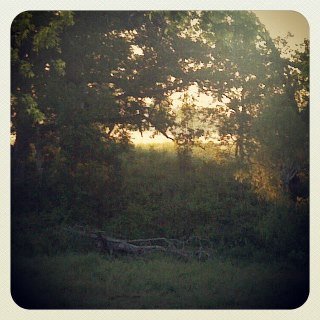 Robert Stephens' album, Instagram Photos