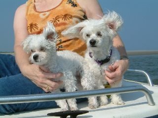 Willene Pierce's album, DARLA & Friends