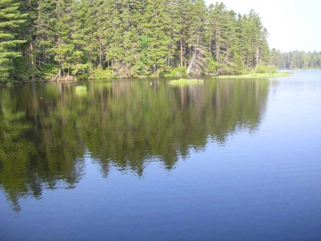 Michelle Spadavecchia's album, Maine