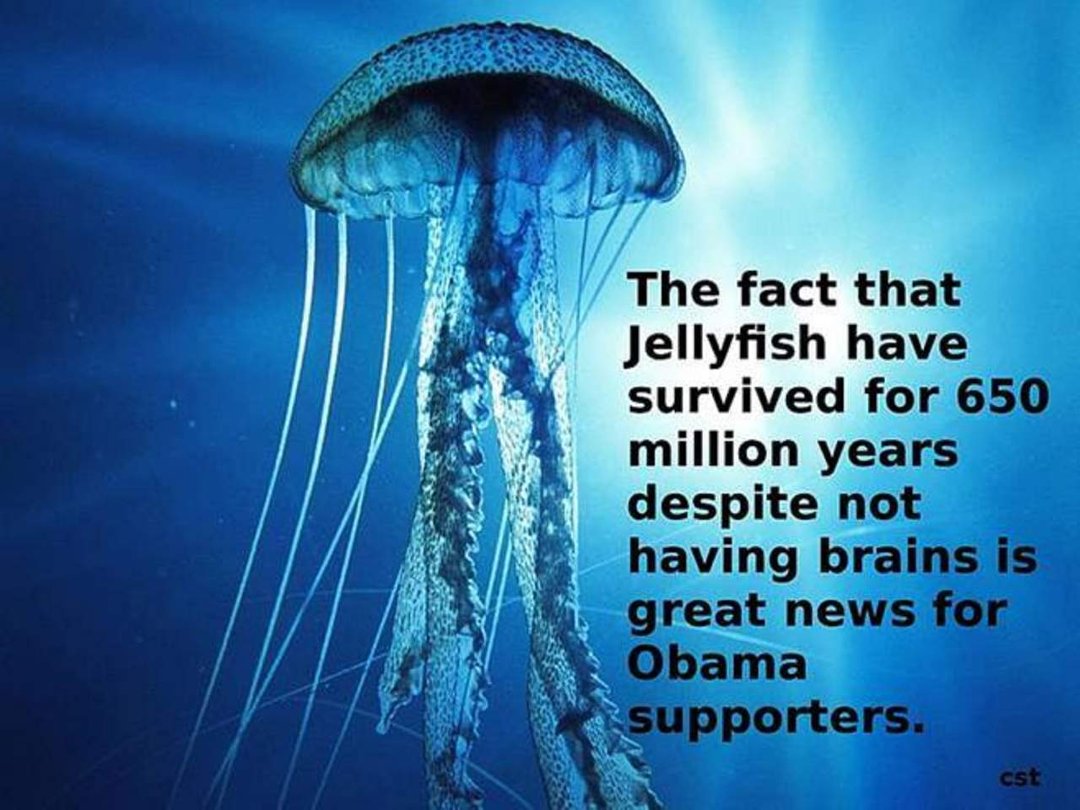 W. Dow Jones' album, Timeline Photos