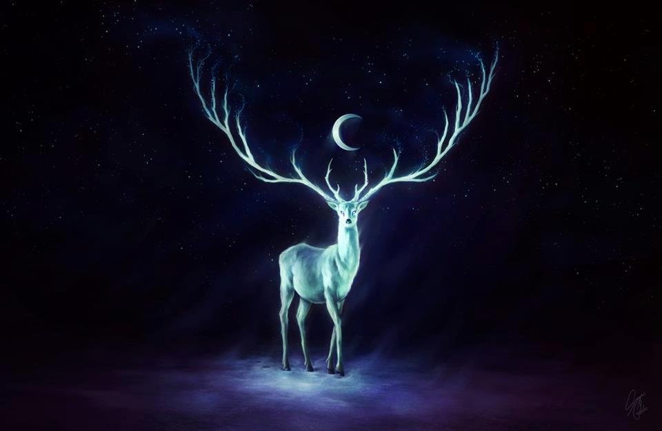 Mark Norgaard's album, Cover Photos